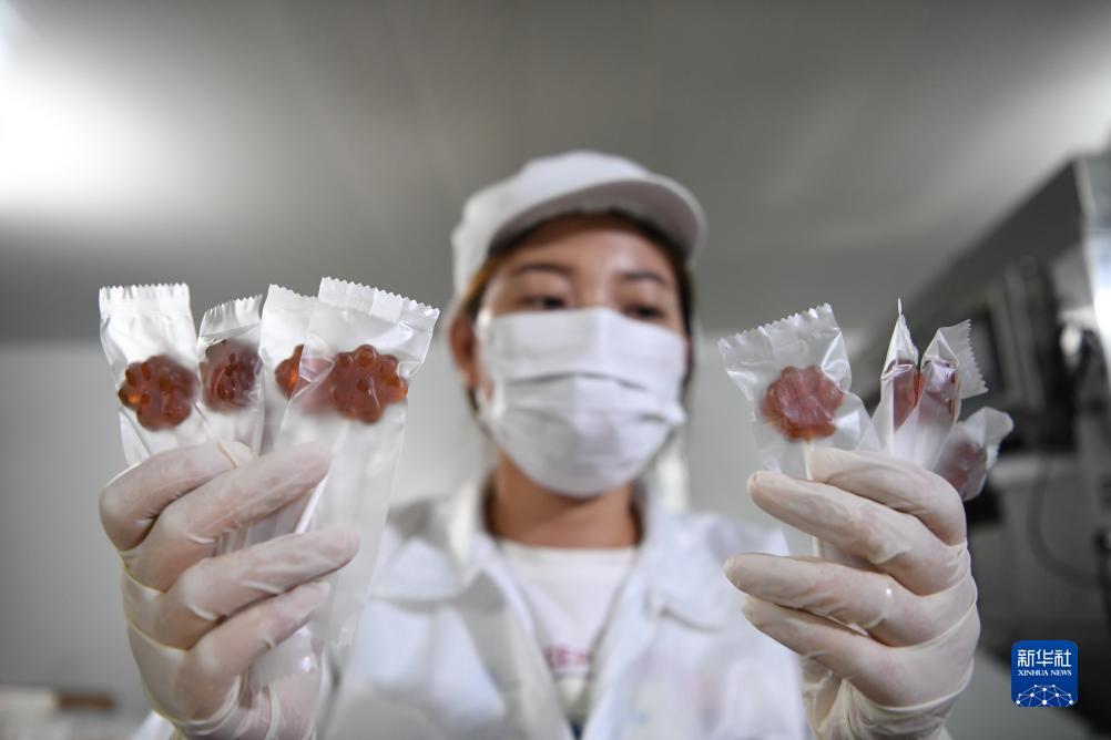 大奖网触屏版首页